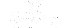 imgi_31_Y